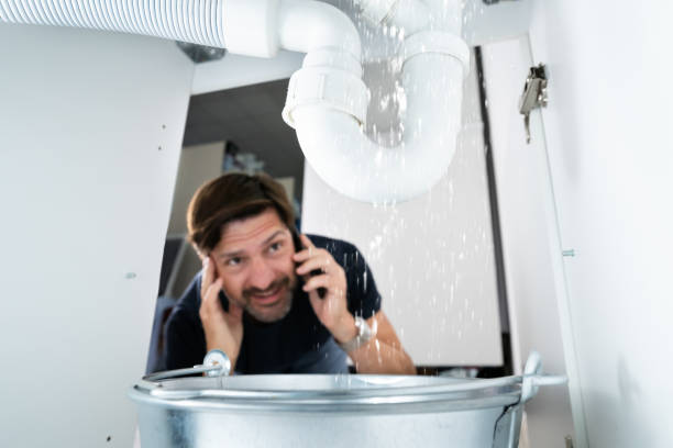 Best Sewer Cleaning Services  in Wyandotte, MI