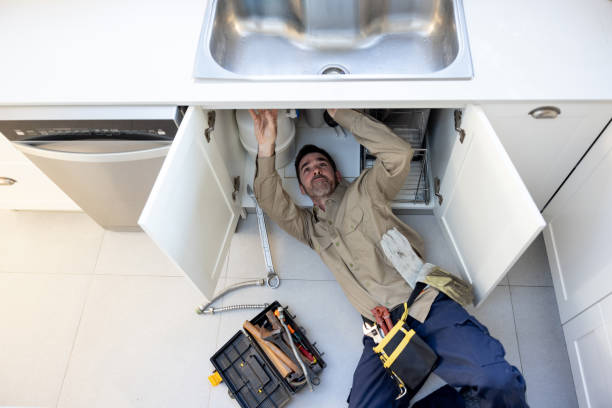 Best Affordable Plumbing Services  in Wyandotte, MI