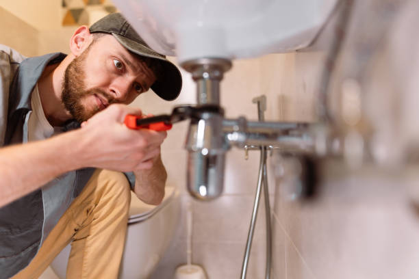 Best Plumbing Services Near Me  in Wyandotte, MI