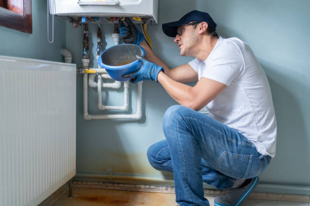 Best Local Plumber Services  in Wyandotte, MI