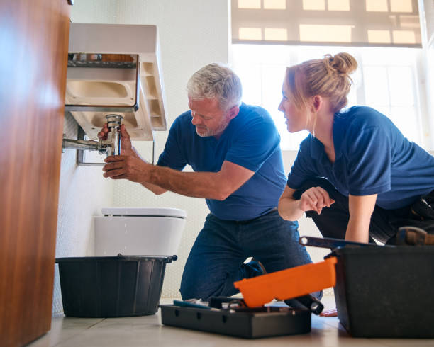 Best Commercial Plumbing Services  in Wyandotte, MI